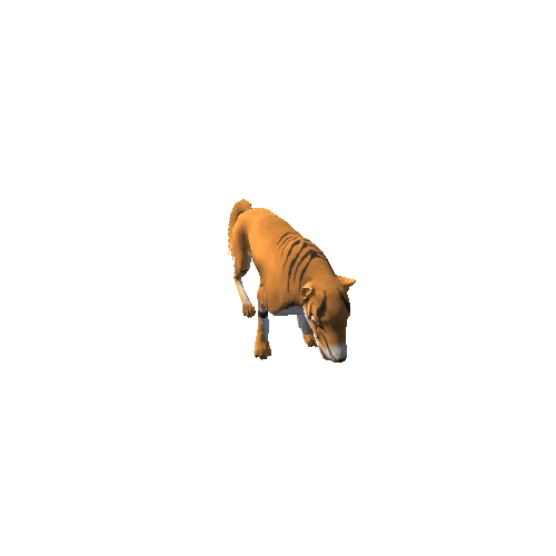 Hyaenodon Gigas Variation-3_All Animation